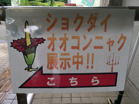 f:id:takahikonojima:20150907193105j:plain