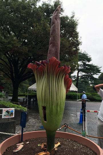 f:id:takahikonojima:20150907193128j:plain