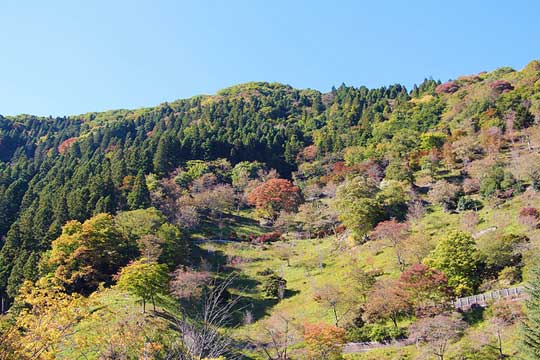 f:id:takahikonojima:20151028144214j:plain f:id:takahikonojima:20151028144214j:plain