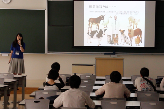 f:id:takahikonojima:20151030164745j:plain