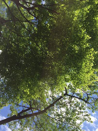 f:id:takahikonojima:20160429165251j:plain f:id:takahikonojima:20160429165251j:plain