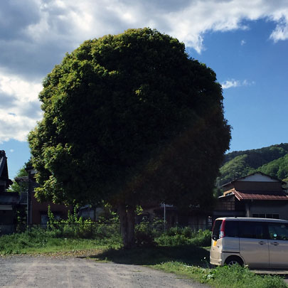 f:id:takahikonojima:20160429165323j:plain f:id:takahikonojima:20160429165323j:plain