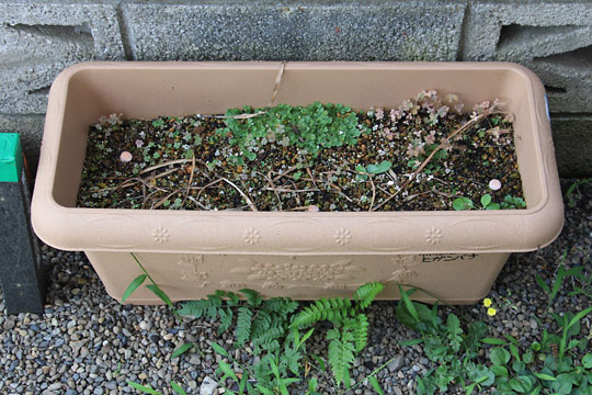 f:id:takahikonojima:20160712112854j:plain