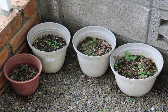 f:id:takahikonojima:20160712112910j:plain