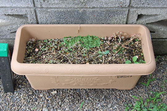 f:id:takahikonojima:20160712112915j:plain