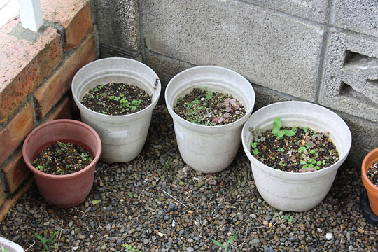 f:id:takahikonojima:20160716092523j:plain