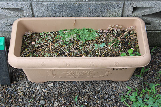 f:id:takahikonojima:20160716092528j:plain