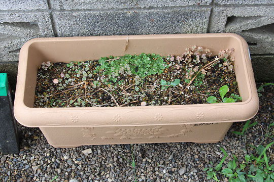 f:id:takahikonojima:20160716092536j:plain