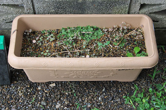 f:id:takahikonojima:20160716092545j:plain