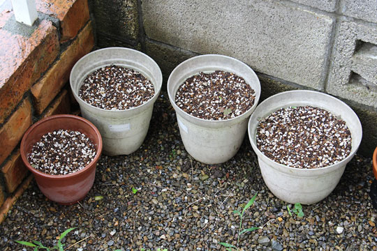 f:id:takahikonojima:20160723110522j:plain