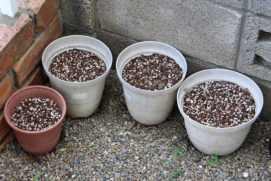 f:id:takahikonojima:20160725110912j:plain