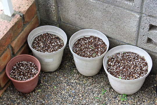 f:id:takahikonojima:20160730185328j:plain