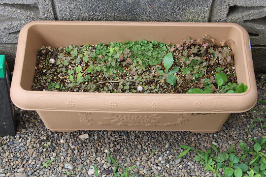 f:id:takahikonojima:20160730185332j:plain