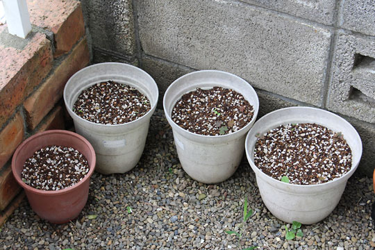 f:id:takahikonojima:20160730185455j:plain