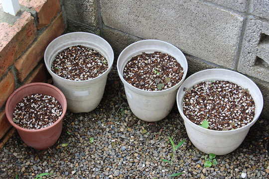 f:id:takahikonojima:20160730185612j:plain