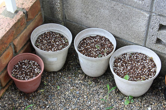 f:id:takahikonojima:20160730185728j:plain