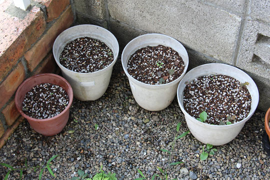 f:id:takahikonojima:20160730185906j:plain