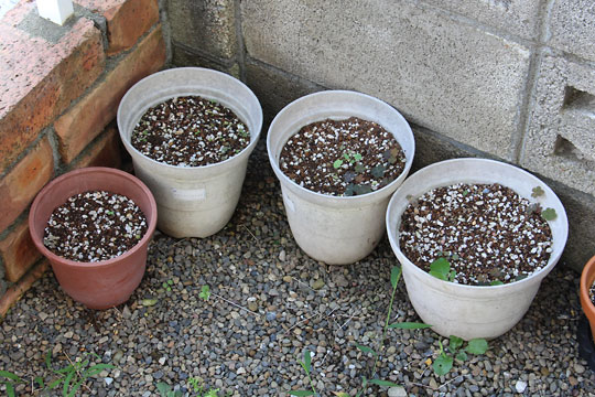 f:id:takahikonojima:20160802140233j:plain