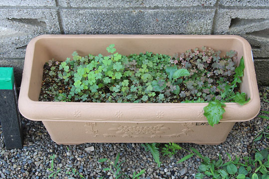 f:id:takahikonojima:20160802140238j:plain