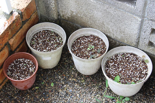 f:id:takahikonojima:20160802140406j:plain