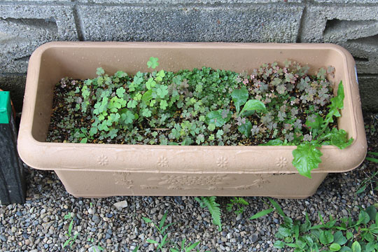 f:id:takahikonojima:20160802140410j:plain