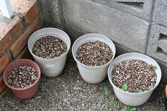 f:id:takahikonojima:20160802140525j:plain