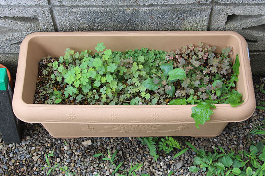 f:id:takahikonojima:20160807113035j:plain