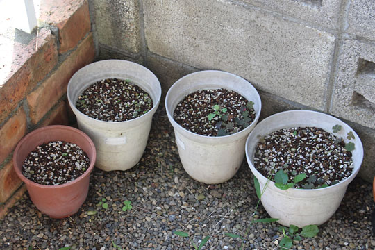 f:id:takahikonojima:20160807113049j:plain