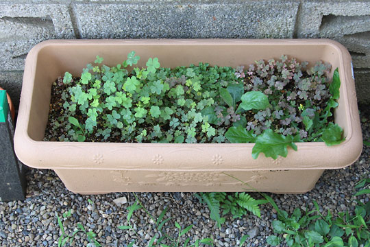 f:id:takahikonojima:20160807113053j:plain