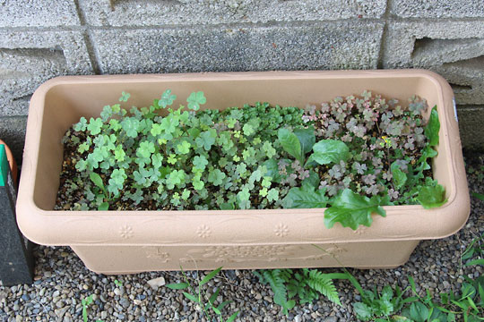 f:id:takahikonojima:20160807113102j:plain