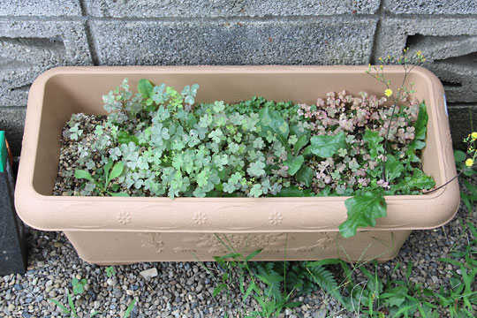 f:id:takahikonojima:20160819202611j:plain