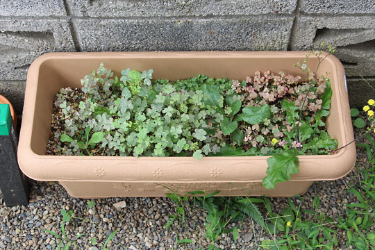 f:id:takahikonojima:20160819202620j:plain