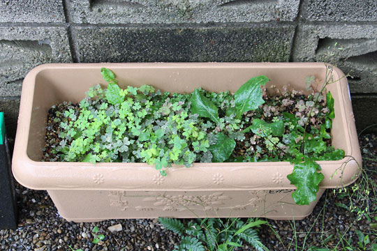 f:id:takahikonojima:20160902154041j:plain