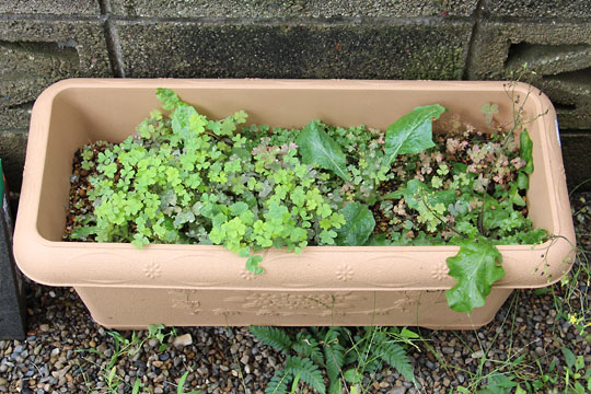 f:id:takahikonojima:20160903154546j:plain