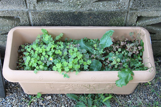 f:id:takahikonojima:20160903154554j:plain