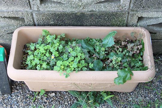 f:id:takahikonojima:20160903154601j:plain