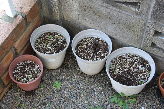 f:id:takahikonojima:20160903154604j:plain