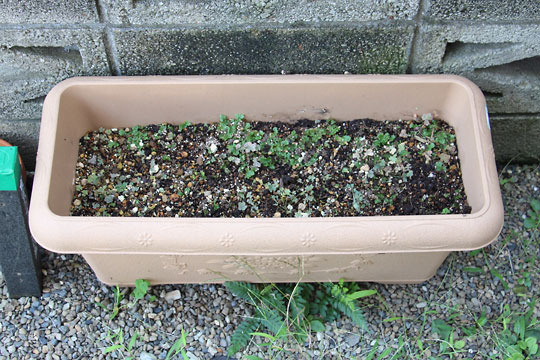 f:id:takahikonojima:20160903154608j:plain