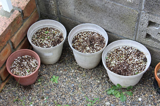 f:id:takahikonojima:20160903154611j:plain