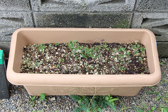 f:id:takahikonojima:20160903154615j:plain