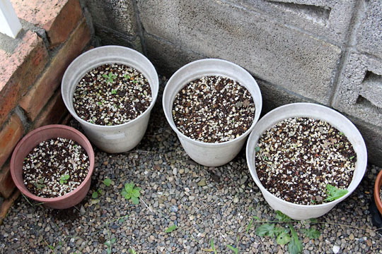 f:id:takahikonojima:20160917182317j:plain