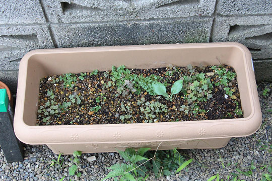 f:id:takahikonojima:20160917182322j:plain