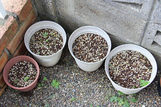 f:id:takahikonojima:20160917182326j:plain