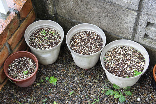 f:id:takahikonojima:20160917182333j:plain