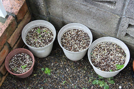 f:id:takahikonojima:20160917182341j:plain