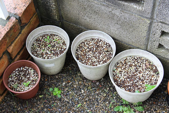 f:id:takahikonojima:20160917182405j:plain