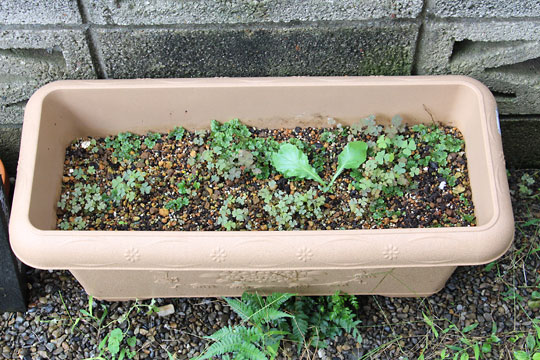 f:id:takahikonojima:20160917182409j:plain