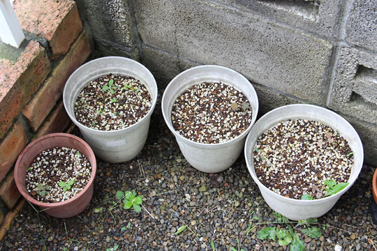 f:id:takahikonojima:20160917182413j:plain