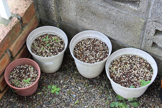 f:id:takahikonojima:20160917182421j:plain