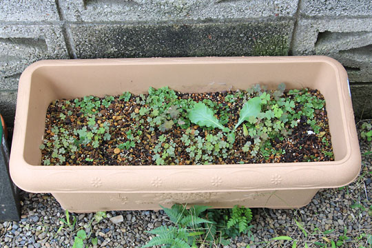 f:id:takahikonojima:20160917182425j:plain